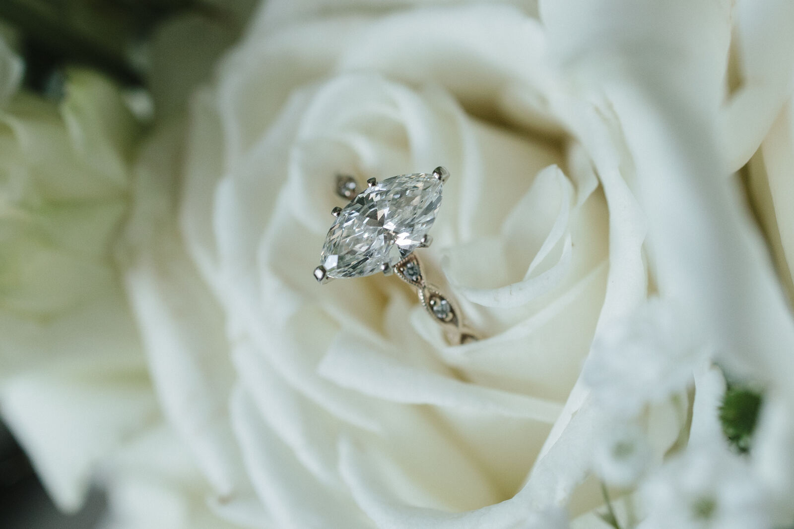 Engagement ring nestled in white roses